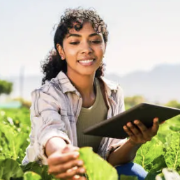 Farmer